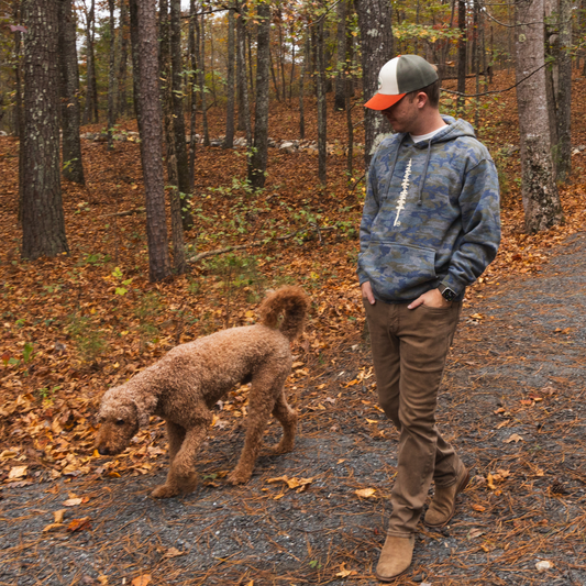 Sole Pine Cloudfit Hoodie
