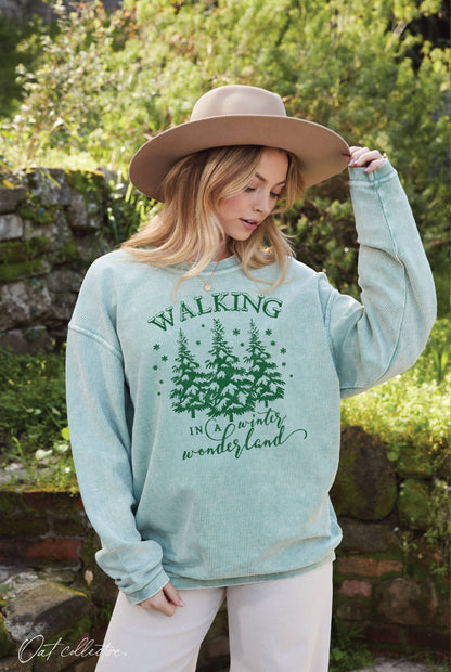 Walking in a Winter Wonderland