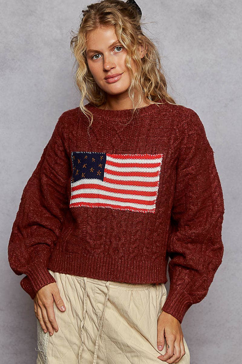 USA flag contrast stitch detail sweater