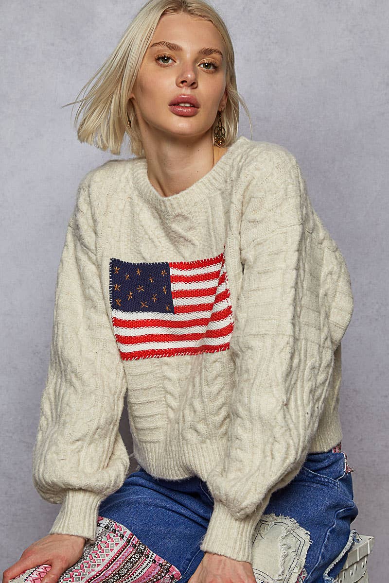 USA flag contrast stitch detail sweater