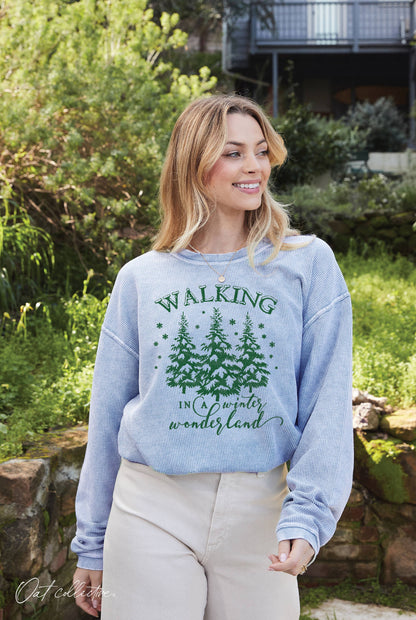 Walking in a Winter Wonderland