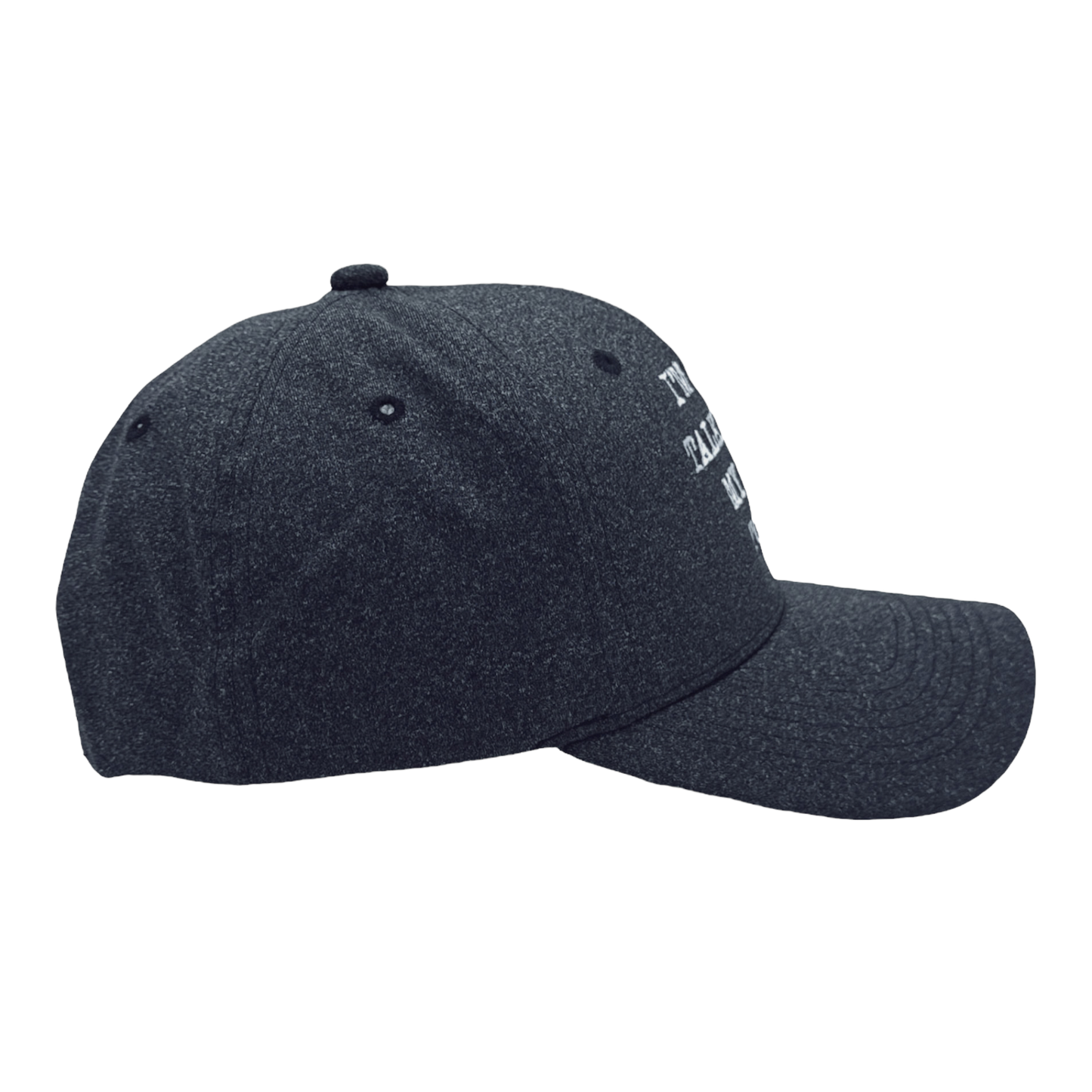 Talking to Dog Cap