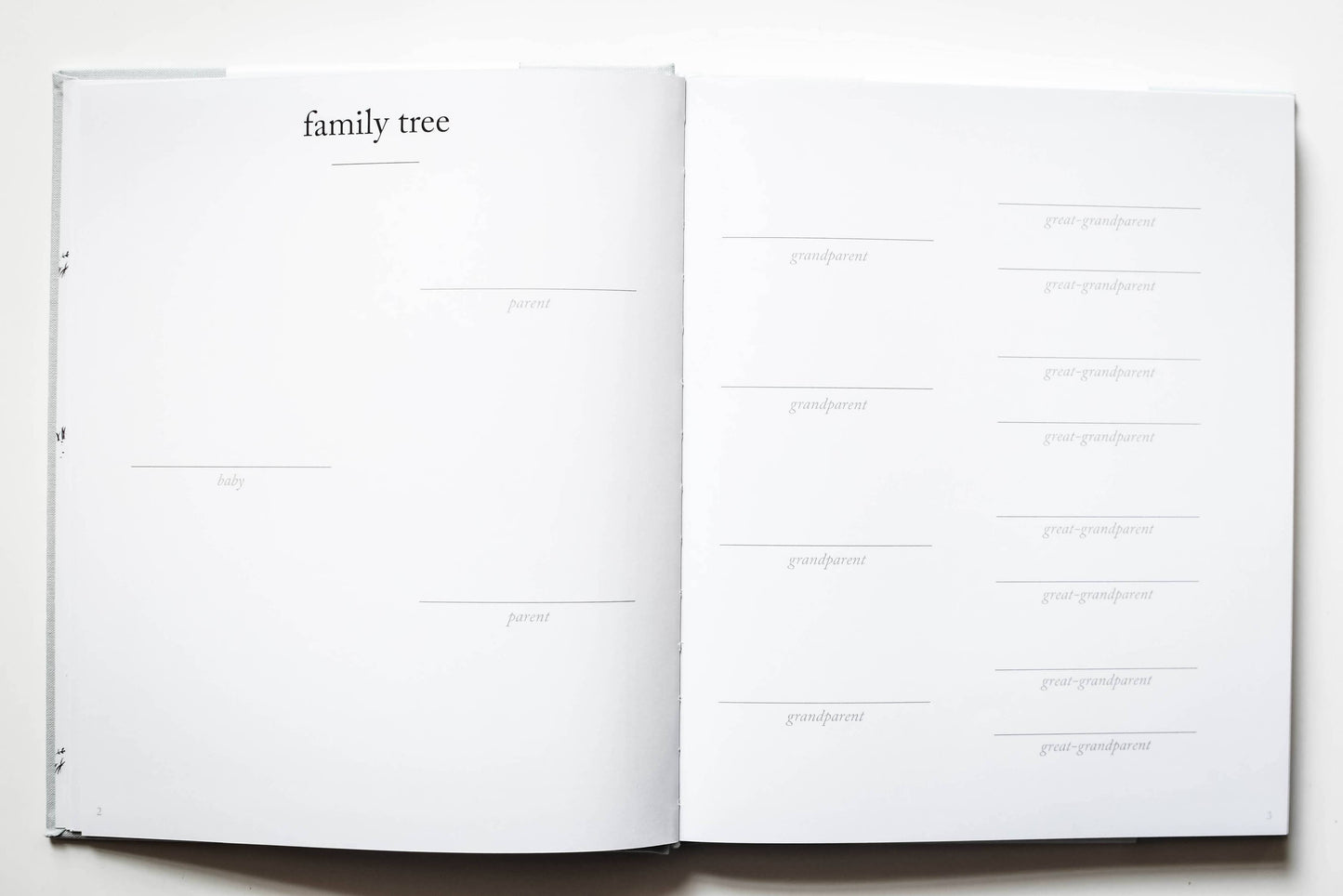 Baby's First Year Memory Book & Photo Album | Mother's Day